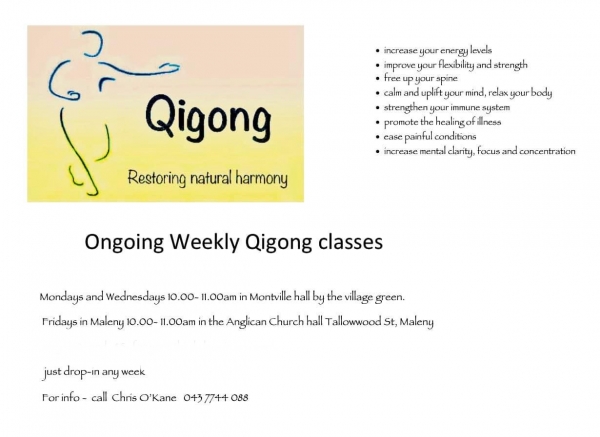 Ongoing Weekly Qigong Classes